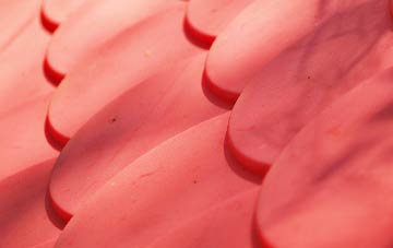 Overbister plastic roof costs