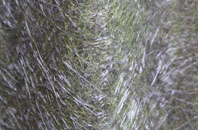 Overbister fibreglass roof work